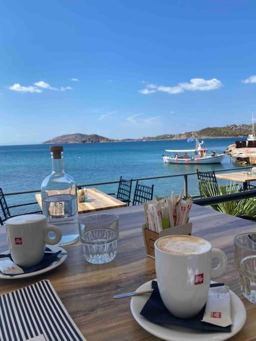 Riviera Beach, Seaside Spacious Apt. Anavyssos Dış mekan fotoğraf